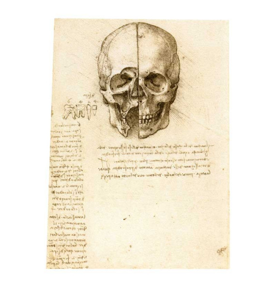 Abanico Calavera con Flores